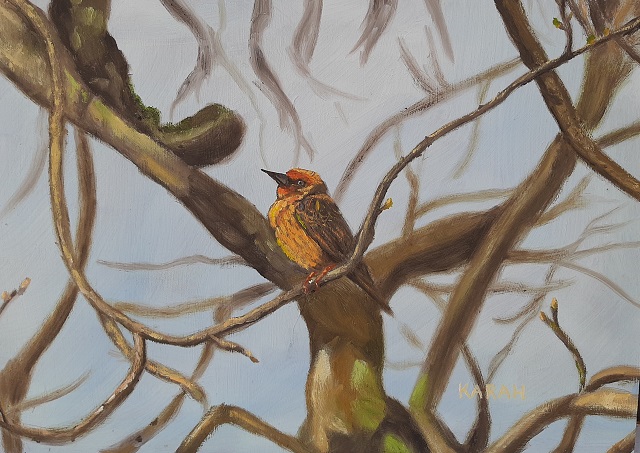 Karah Art- painting- Cape Weaver